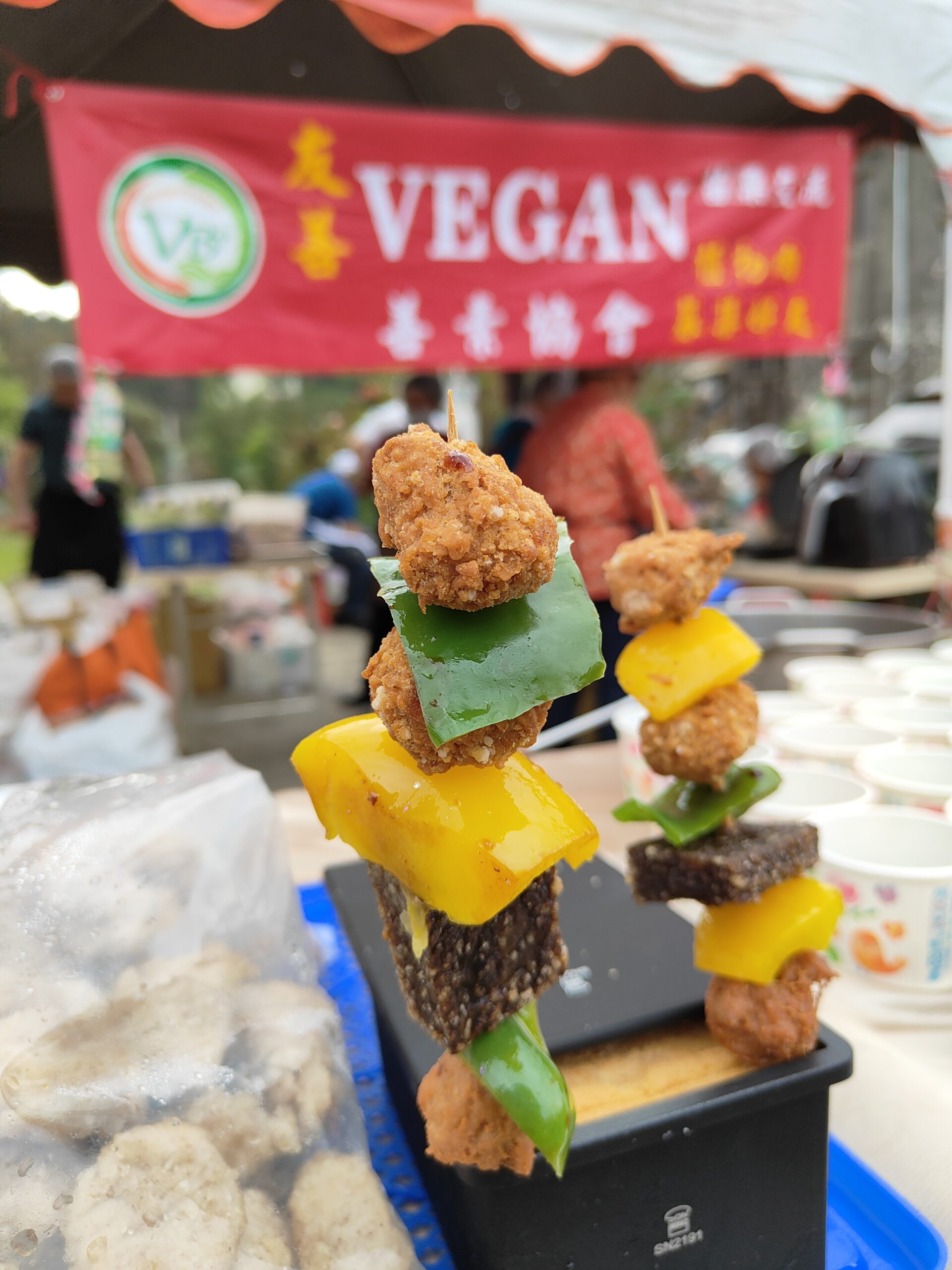 202403苗栗通霄白沙媽回鑾